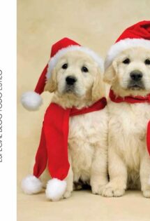 Inspirações para o Natal